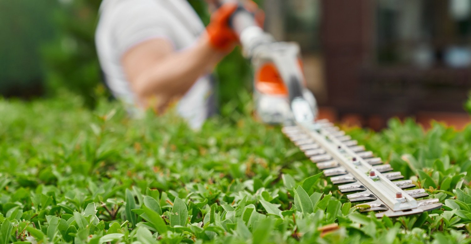 Heckenschnitt mit dem Heckenschneider – Garten- und Außenarbeiten